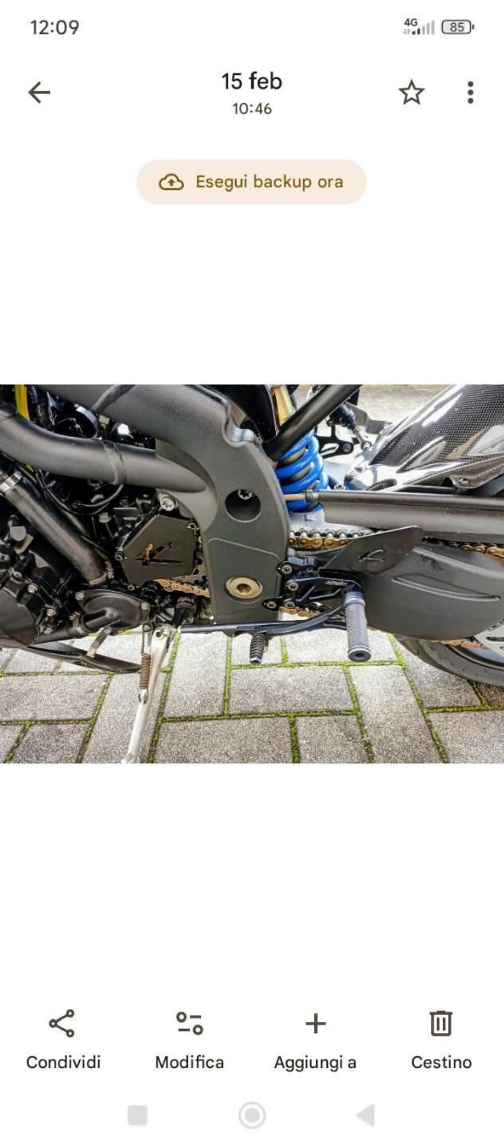 Triumph Speed Triple 1050 (2005 - 11) (4)