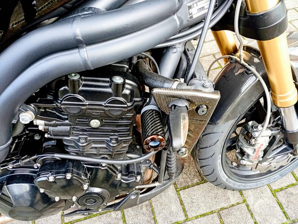 Triumph Speed Triple 1050 (2005 - 11) (5)