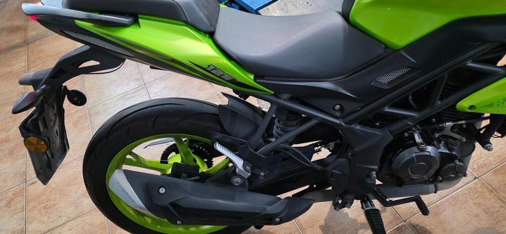 Benelli BN 125 (2018 - 20) (6)