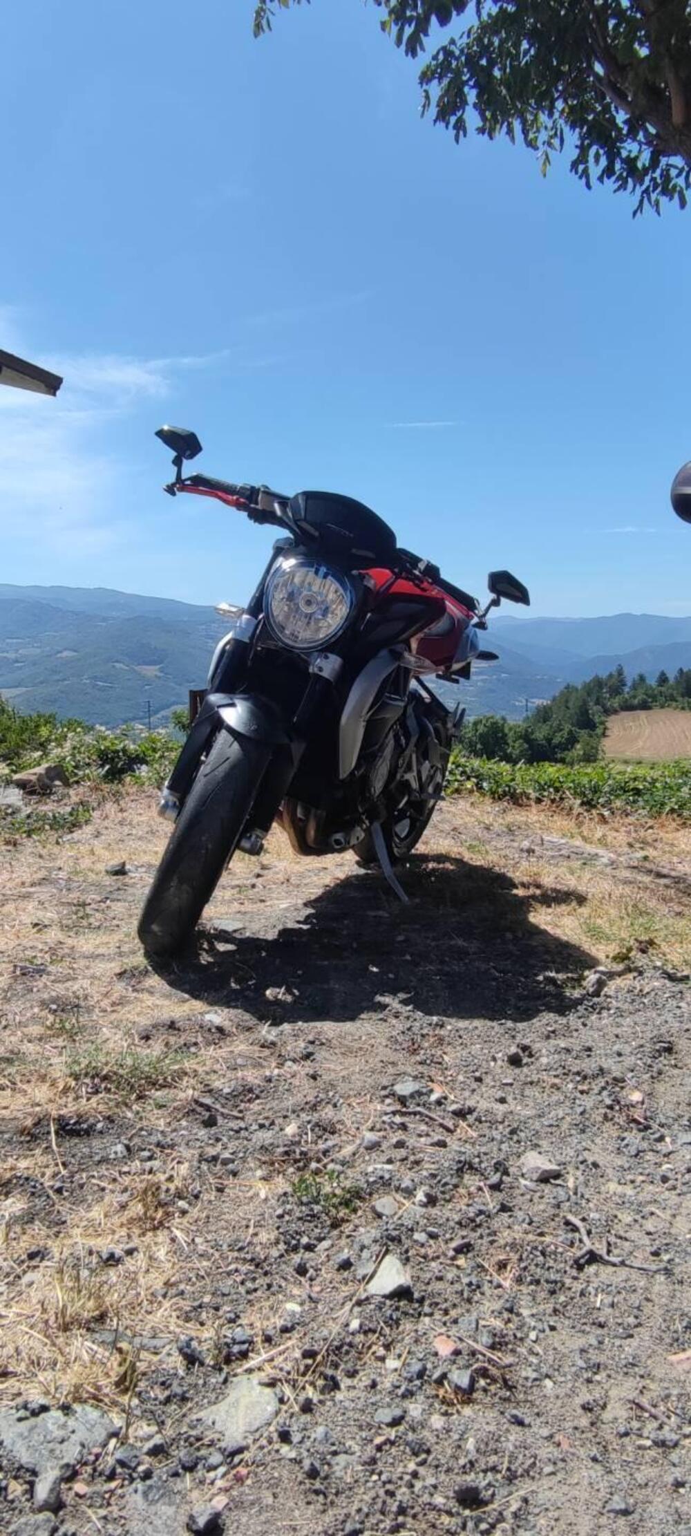 MV Agusta Brutale 800 EAS ABS (2012 - 15) (5)