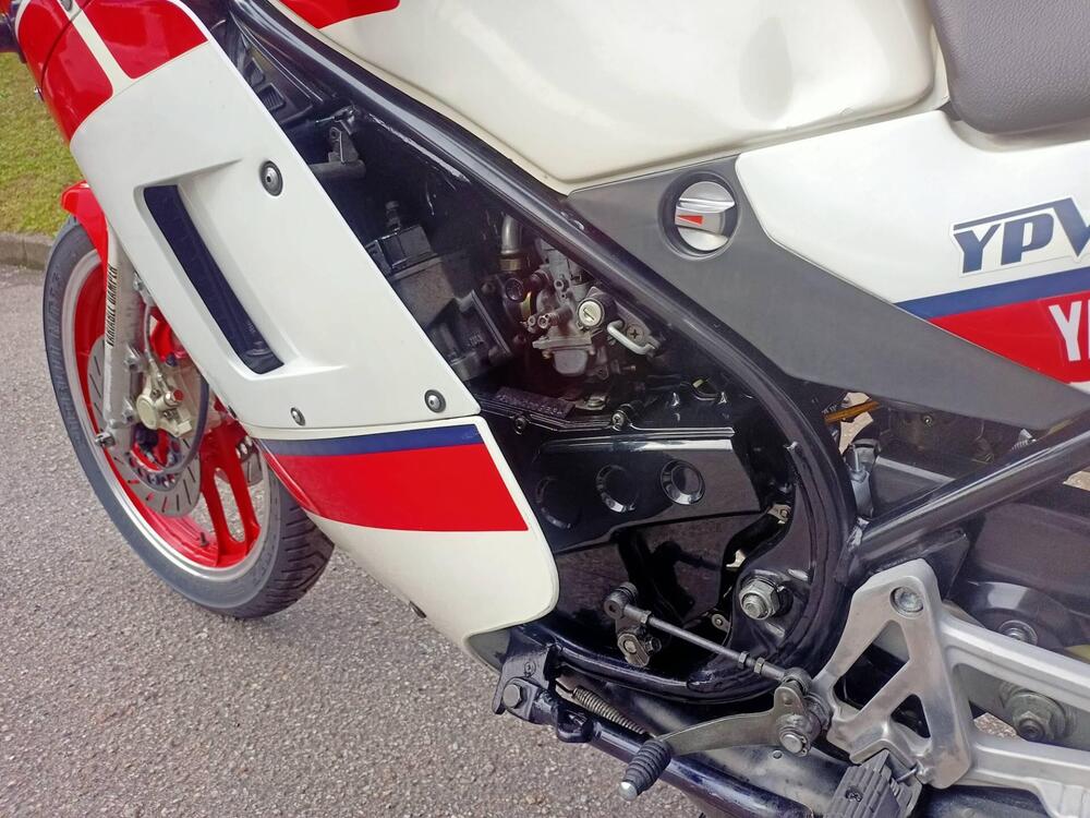 Yamaha RD 350 LCF (1988 - 93) (5)