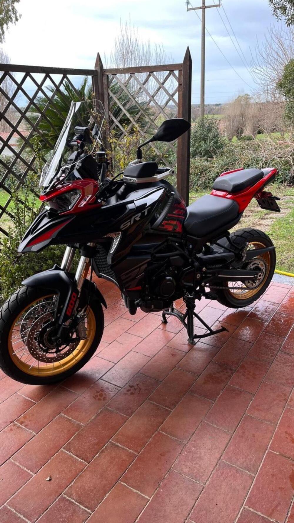 QJ Motor SRT 800 SX (2024 - 25) (2)