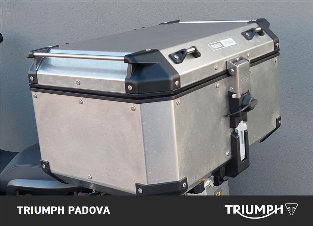 Triumph Tiger 1200 GT Pro (2022 - 23) (13)