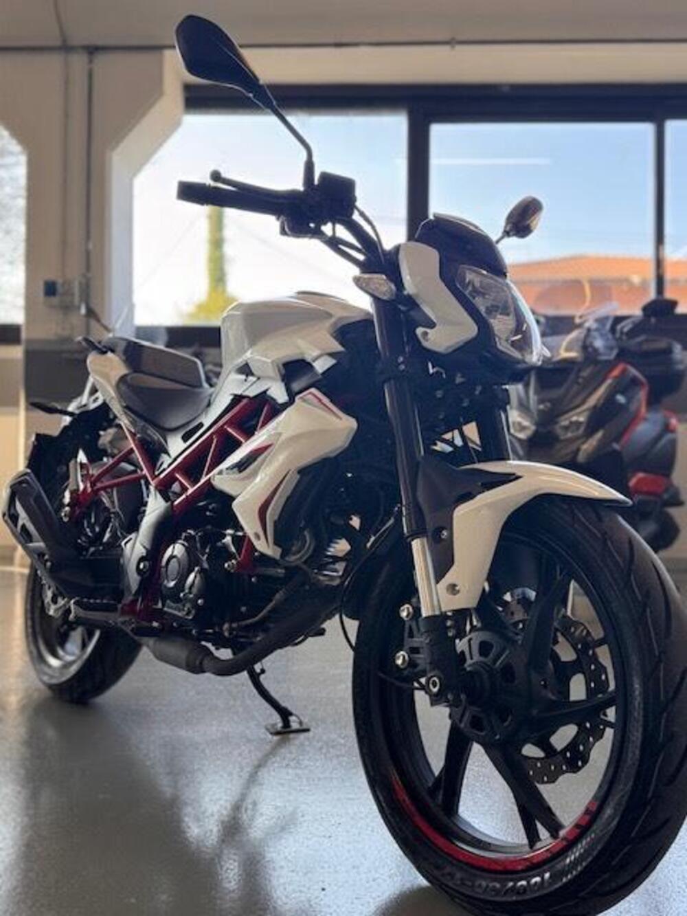 Benelli BN 125 (2021 - 25) (2)