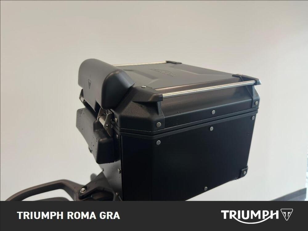 Triumph Tiger 1200 Rally Pro (2022 - 23) (14)