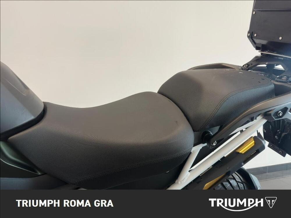 Triumph Tiger 1200 Rally Pro (2022 - 23) (15)