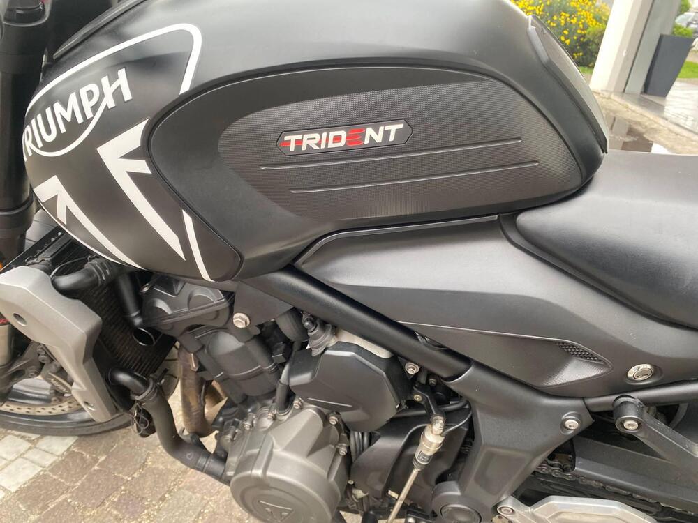 Triumph Trident 660 (2021 - 24) (9)