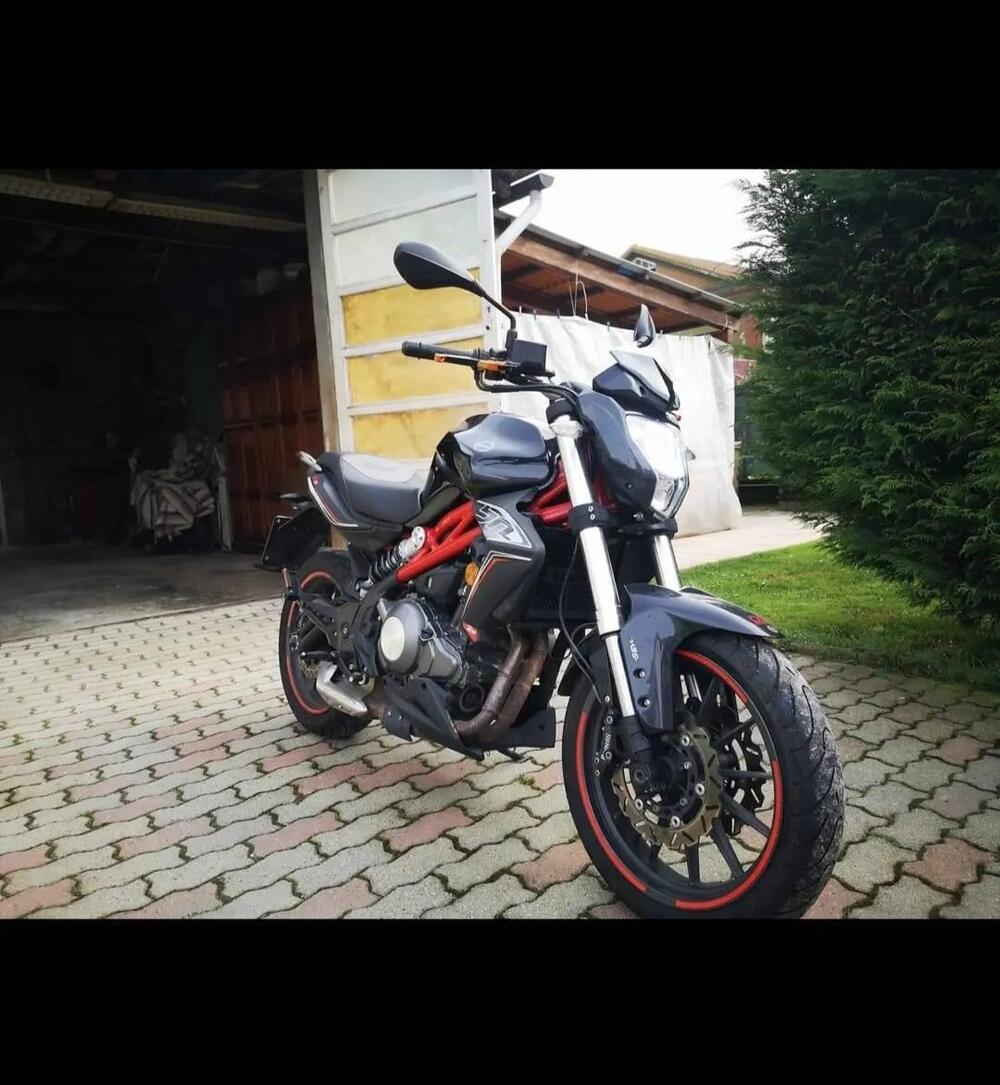 Benelli BN 302 (2017 - 19) (2)