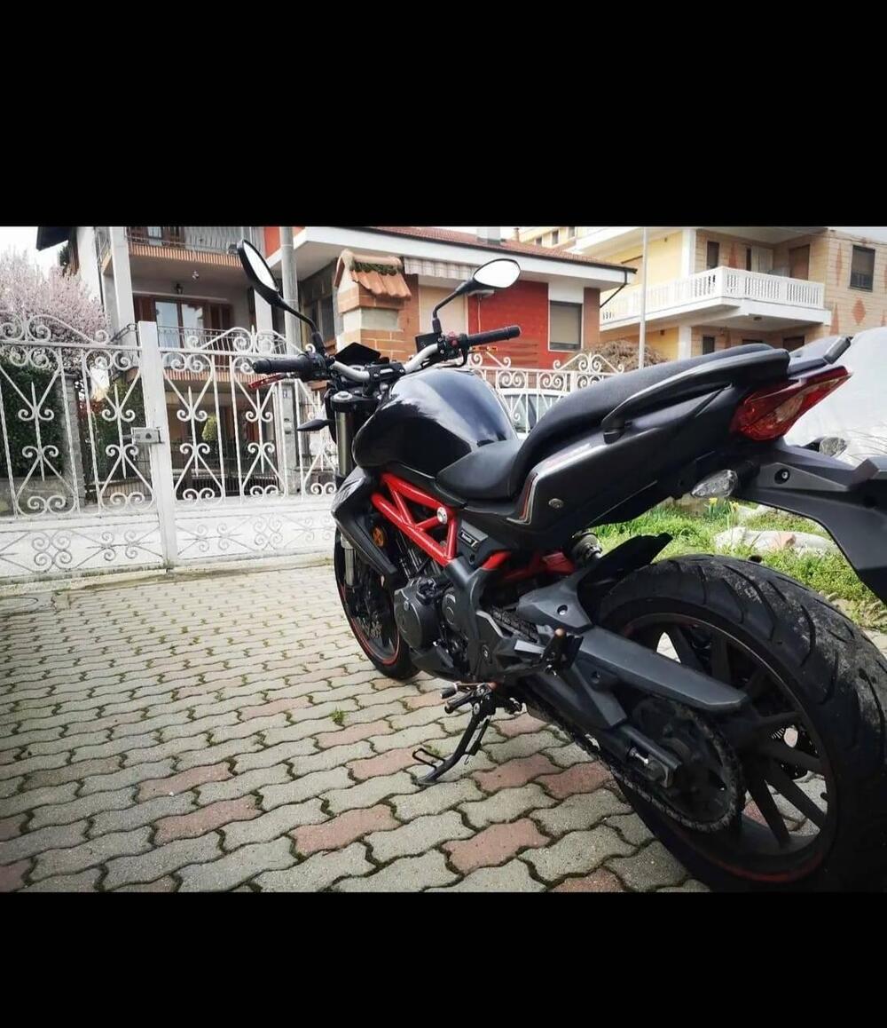 Benelli BN 302 (2017 - 19) (4)