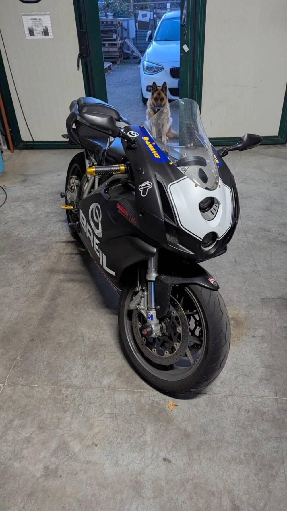 Ducati 749 Dark (2003 - 07) (2)