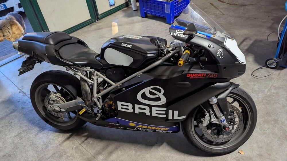 Ducati 749 Dark (2003 - 07) (3)