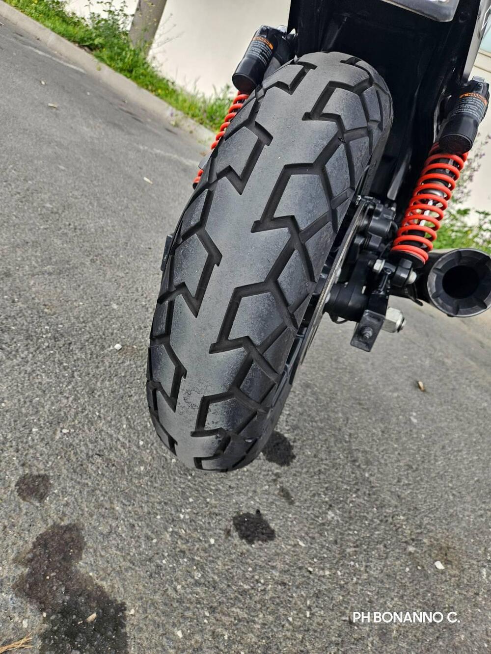 Harley-Davidson 750 Street Rod (2017 - 20) - XG 750 (3)