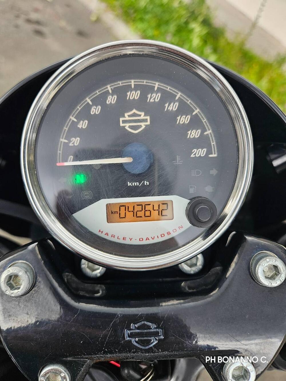 Harley-Davidson 750 Street Rod (2017 - 20) - XG 750 (4)