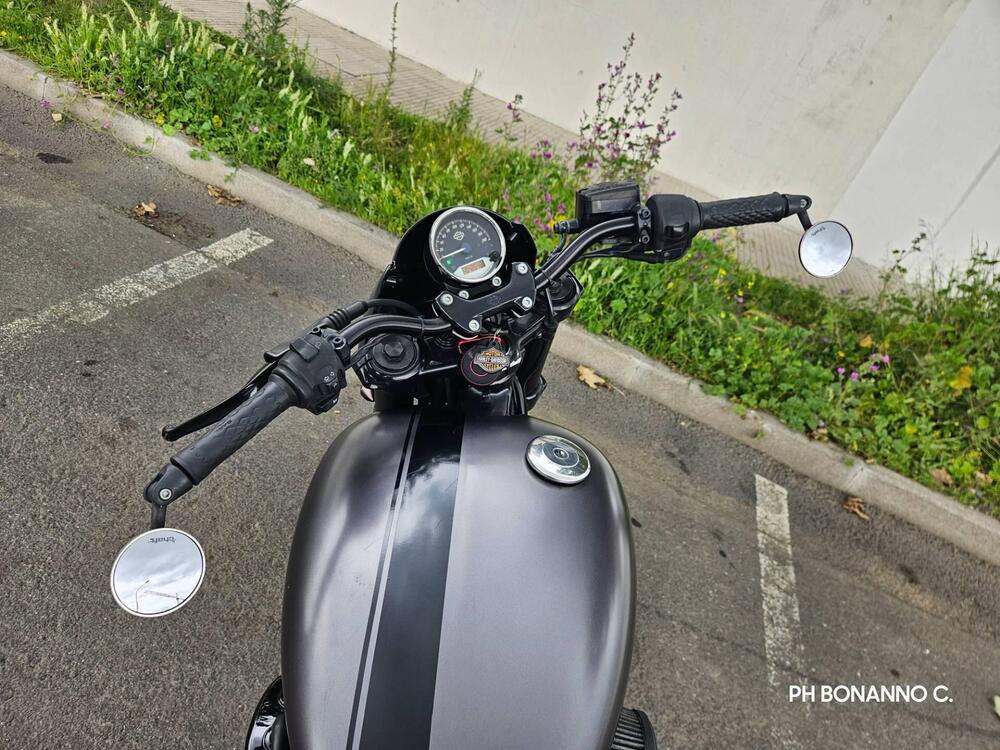 Harley-Davidson 750 Street Rod (2017 - 20) - XG 750 (6)