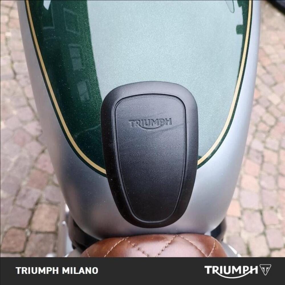 Triumph Speed Twin 1200 (2021 - 24) (8)