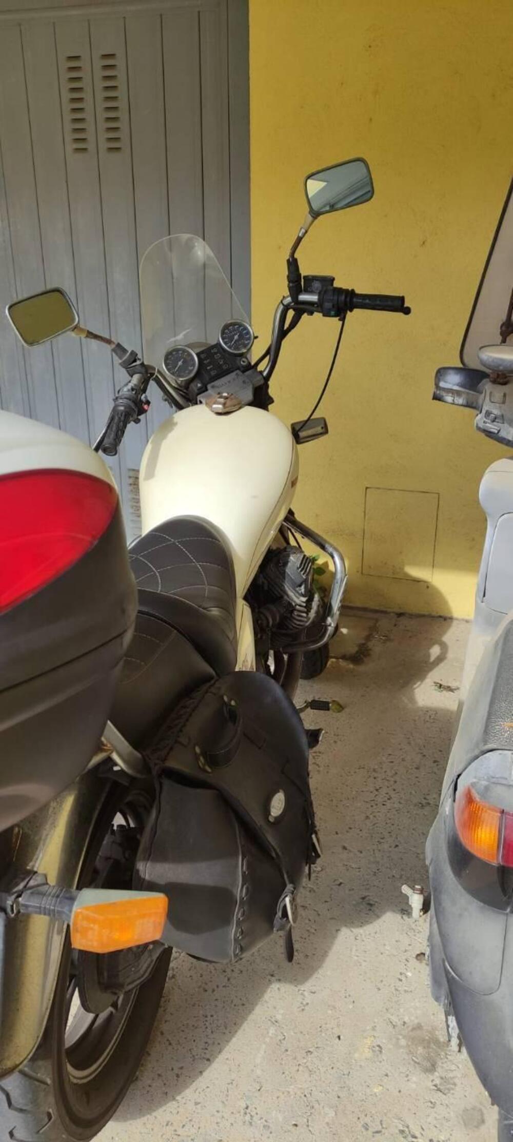 Moto Guzzi florida v 65 (2)