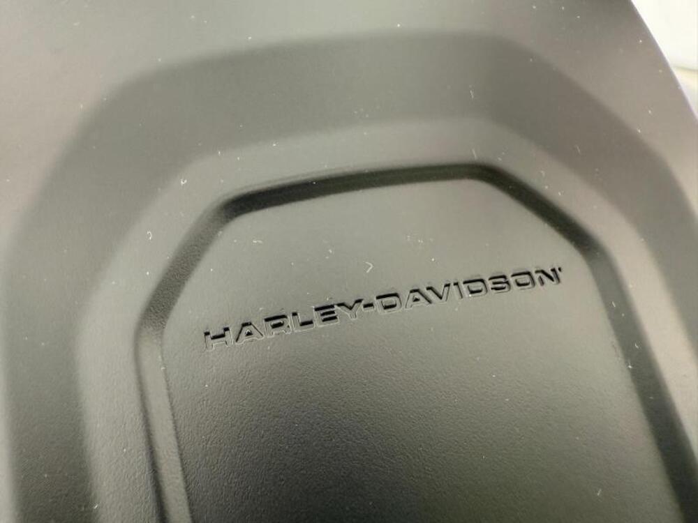 Harley-Davidson Pan America 1250 (2020 - 25) (14)