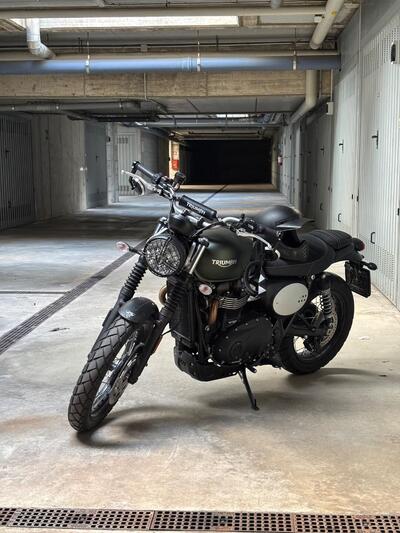 Triumph Scrambler 900 (2023 - 25) usata