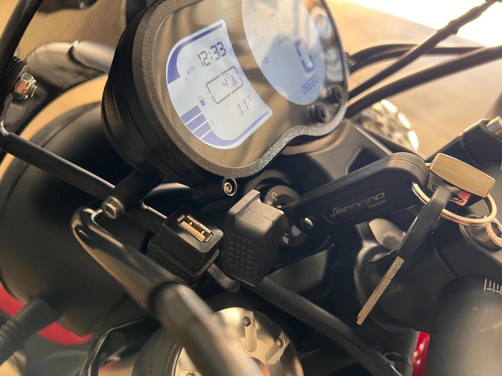 Benelli Leoncino 500 (2021 - 25) (5)