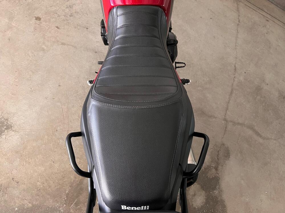 Benelli Leoncino 500 (2021 - 25) (6)