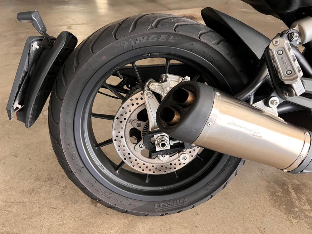 Benelli Leoncino 500 (2021 - 25) (8)