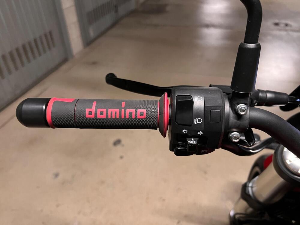 Benelli Leoncino 500 (2021 - 25) (10)