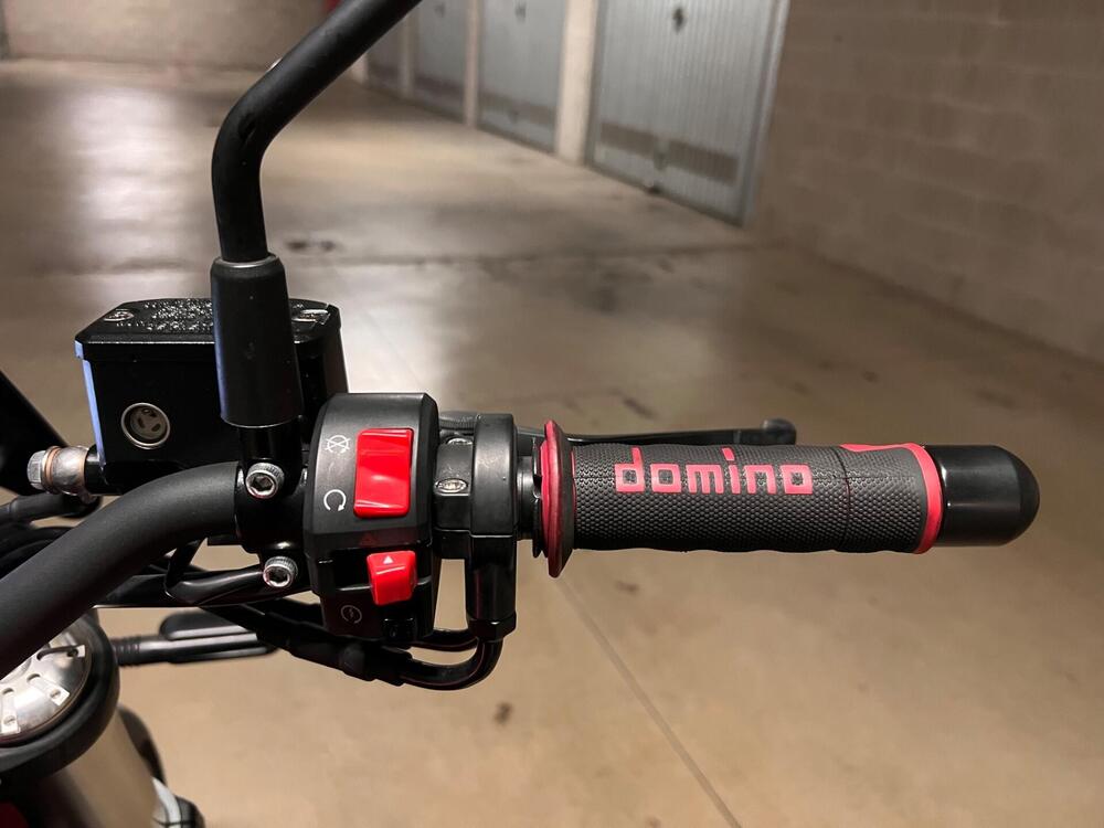 Benelli Leoncino 500 (2021 - 25) (12)