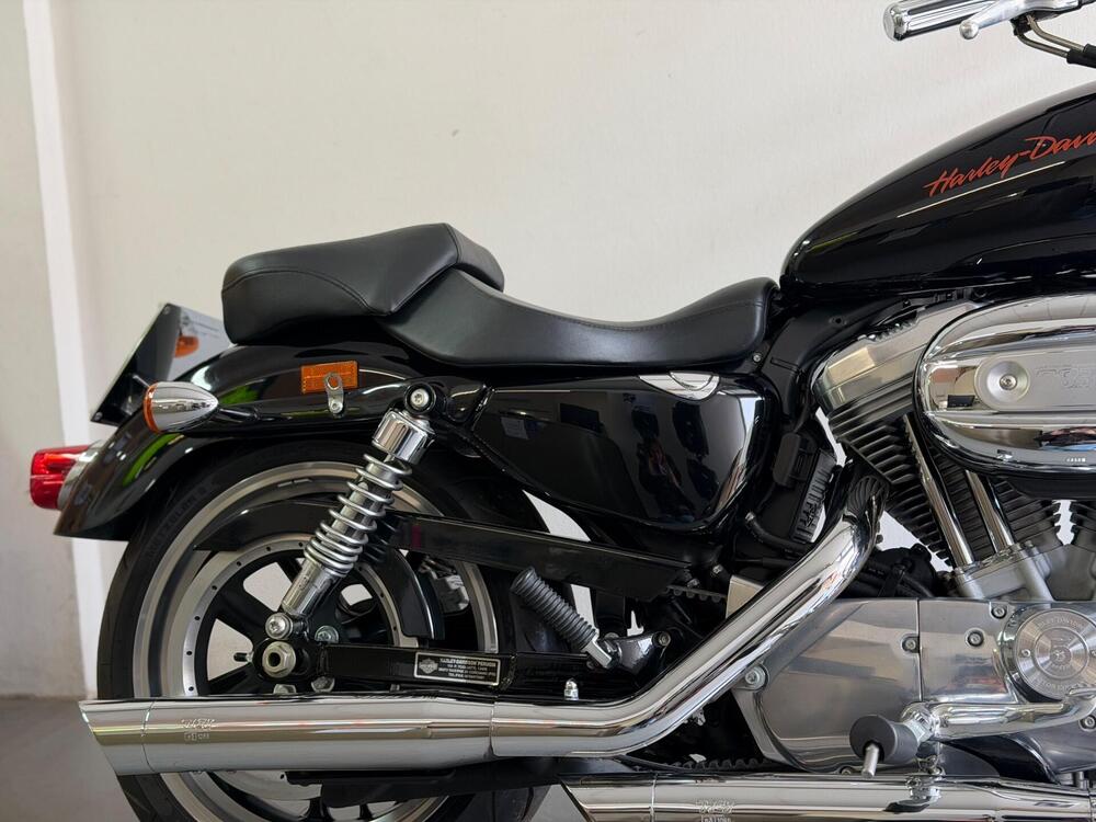 Harley-Davidson 883 (2008 - 09) - XL (2)