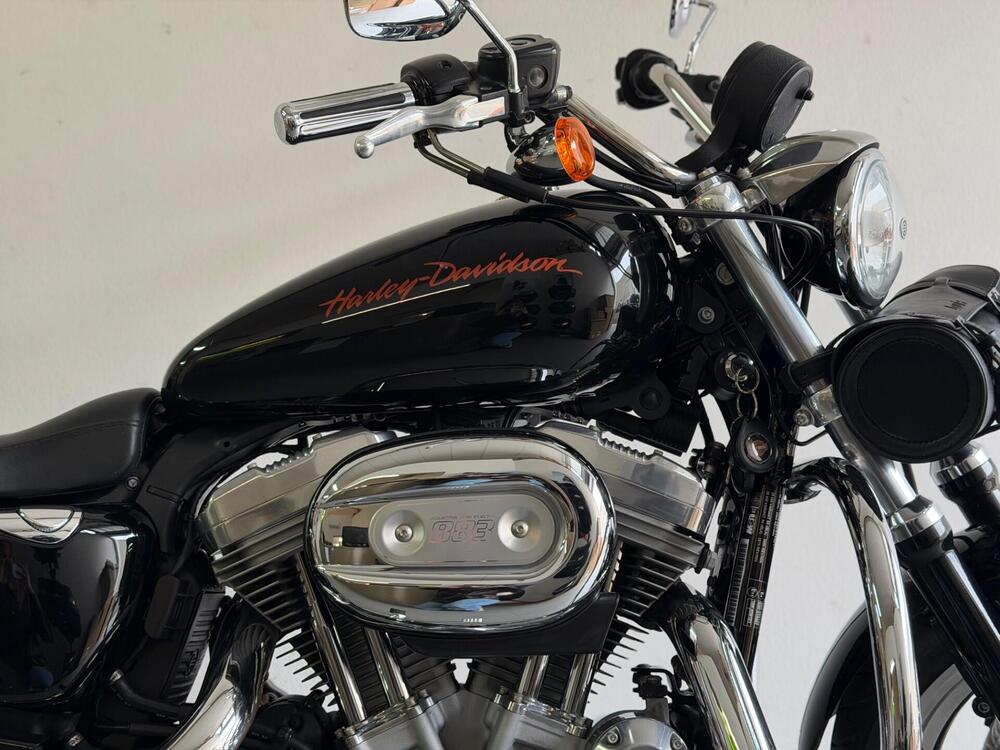 Harley-Davidson 883 (2008 - 09) - XL (3)