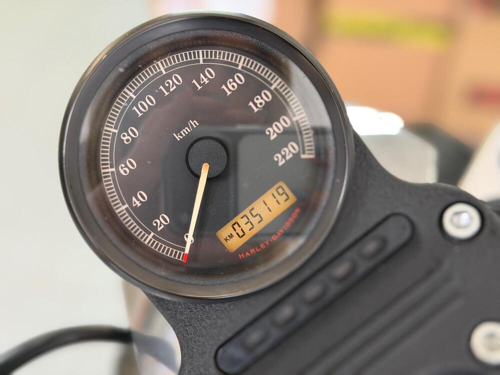 Harley-Davidson 883 (2008 - 09) - XL (5)