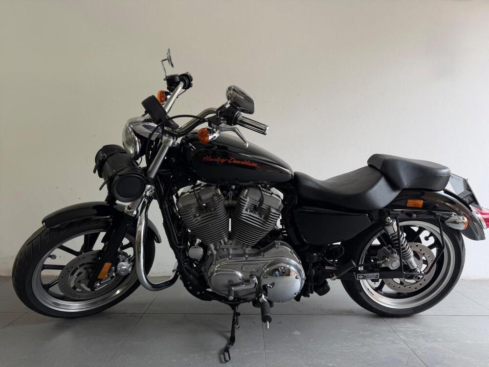 Harley-Davidson 883 (2008 - 09) - XL (7)