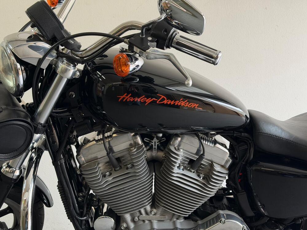 Harley-Davidson 883 (2008 - 09) - XL (8)