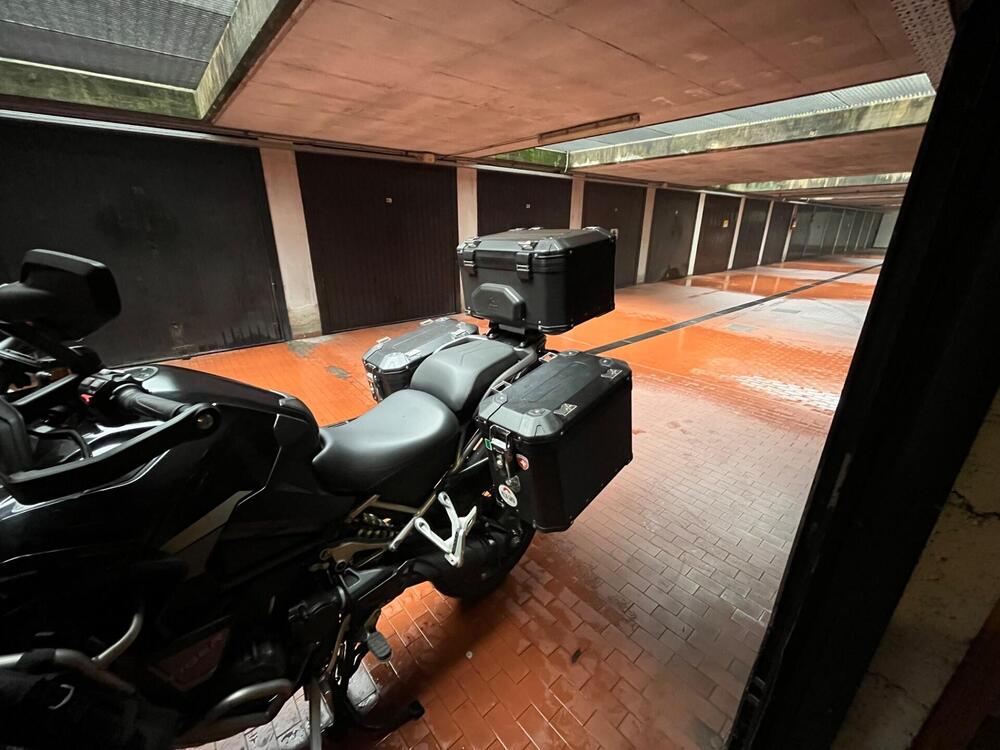 Triumph Tiger 1200 Rally Explorer (2024 - 26) (3)