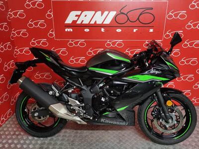 Kawasaki Ninja 125 (2021 - 24) usata