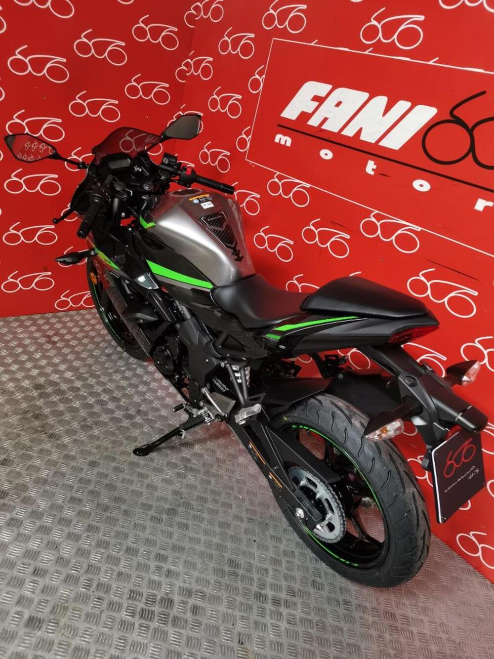 Kawasaki Ninja 125 (2021 - 24) (4)