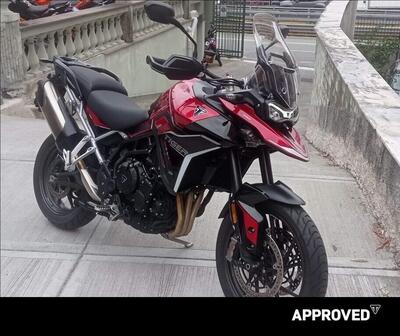 Triumph Tiger 900 GT Pro (2024 - 26) usata