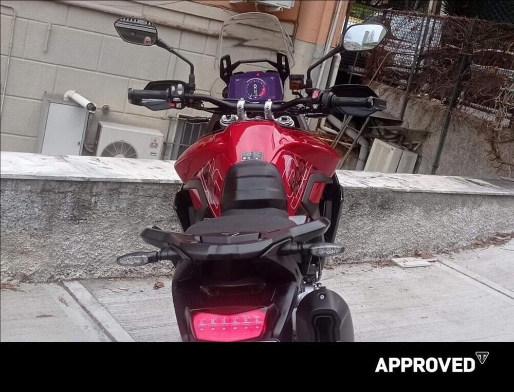Triumph Tiger 900 GT Pro (2024 - 26) (4)