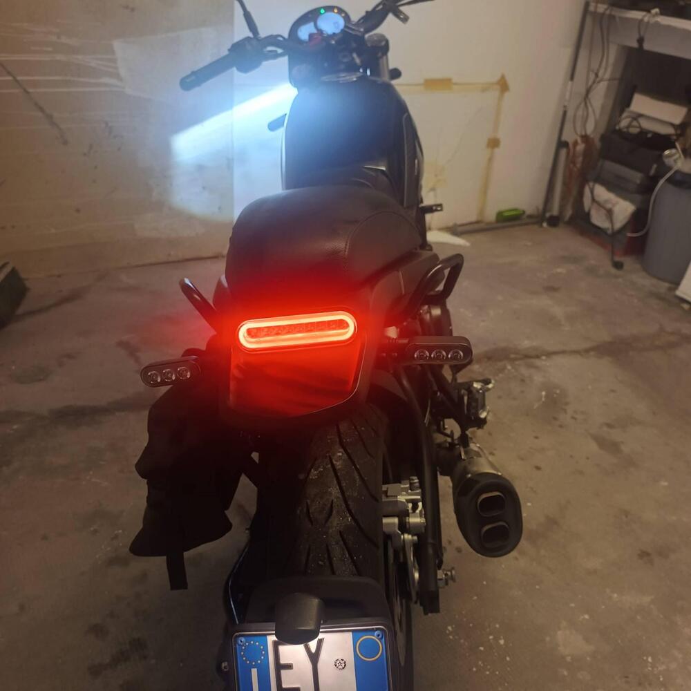 Benelli Leoncino 500 (2021 - 25) (5)