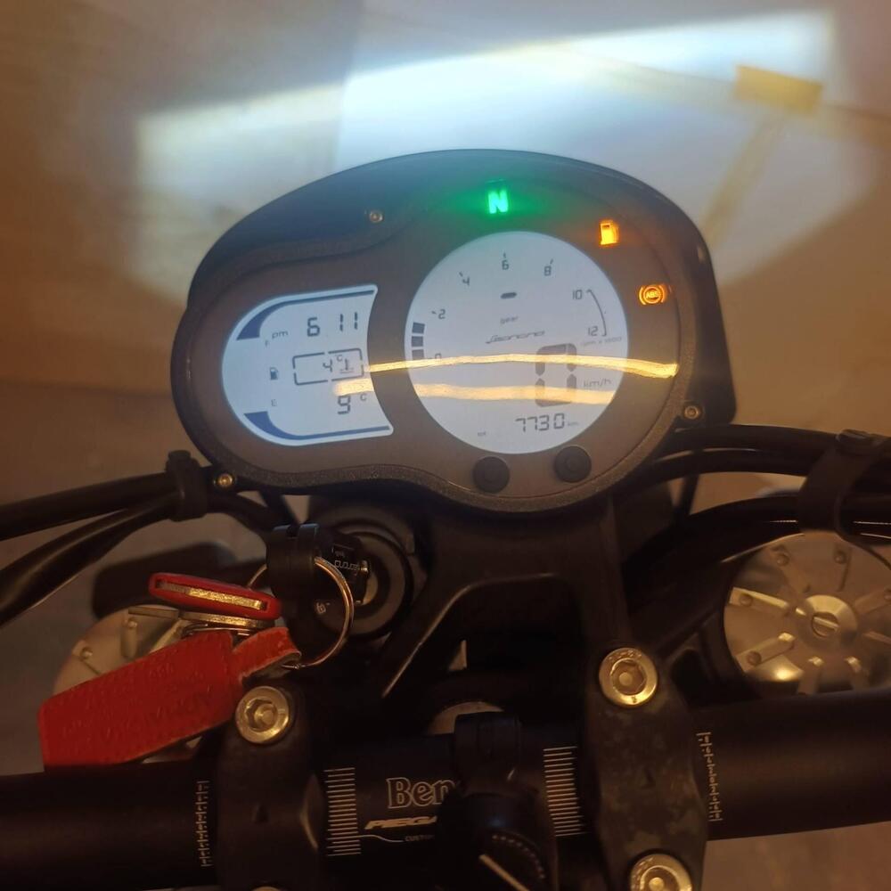 Benelli Leoncino 500 (2021 - 25) (2)