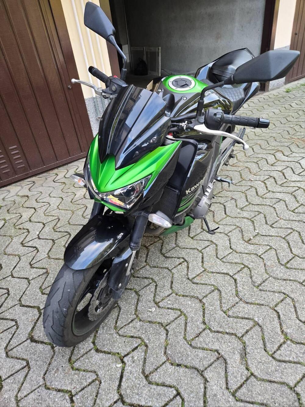 Kawasaki Z 800 (2012 - 13) (3)