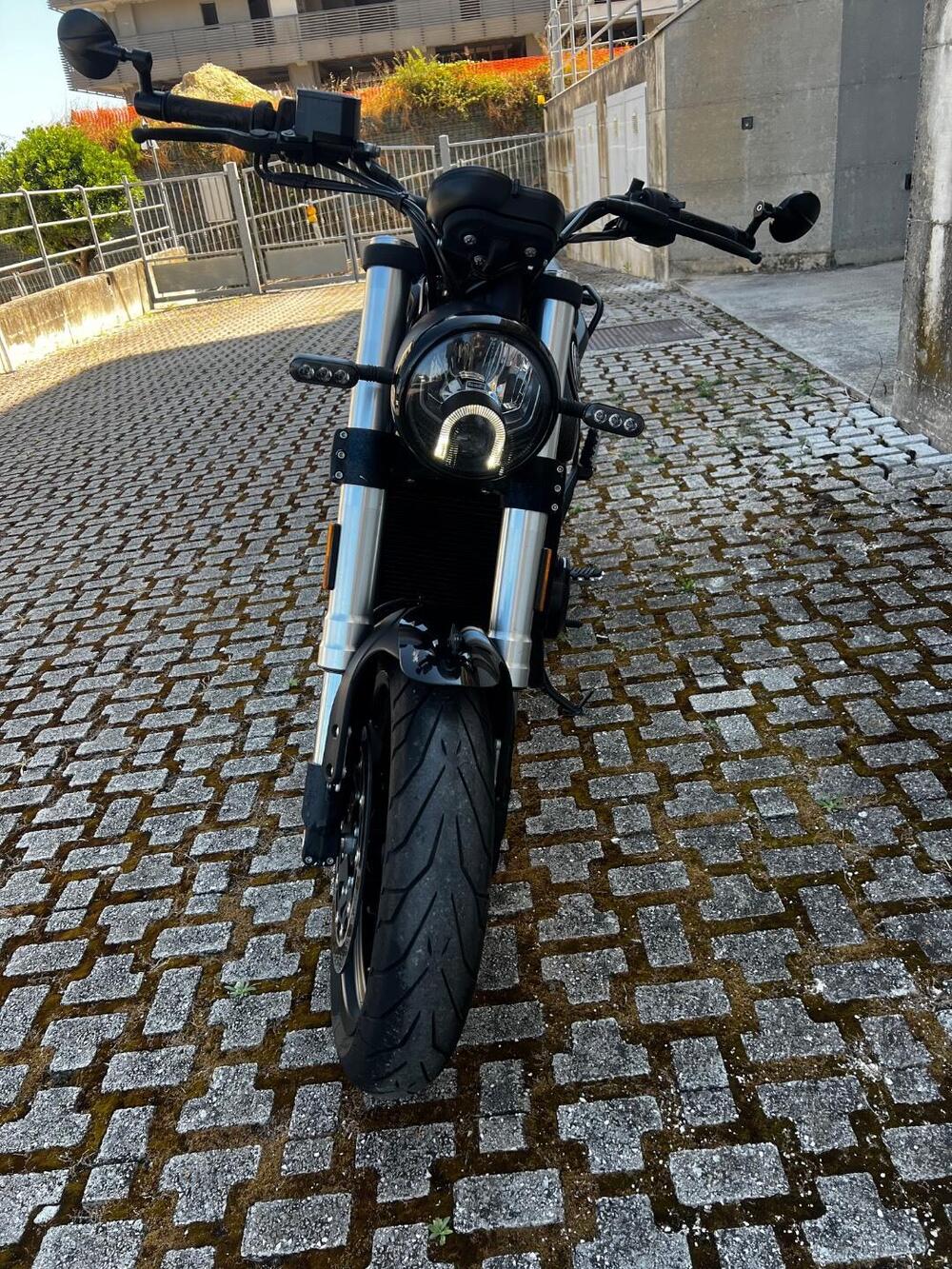 Benelli Leoncino 500 (2021 - 25) (2)