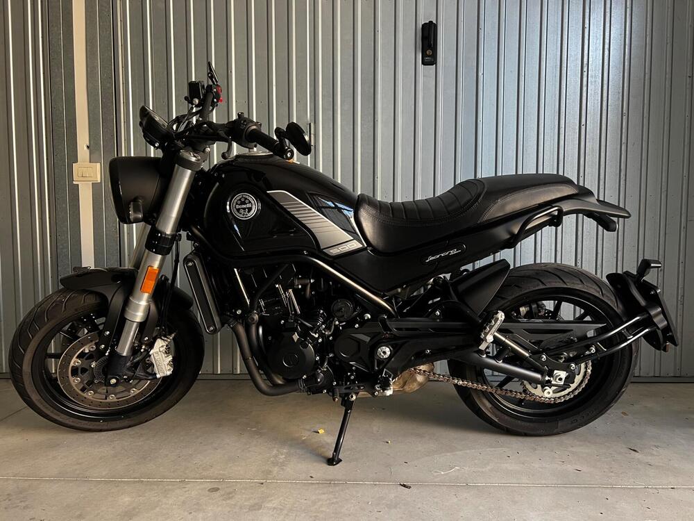 Benelli Leoncino 500 (2021 - 25) (6)