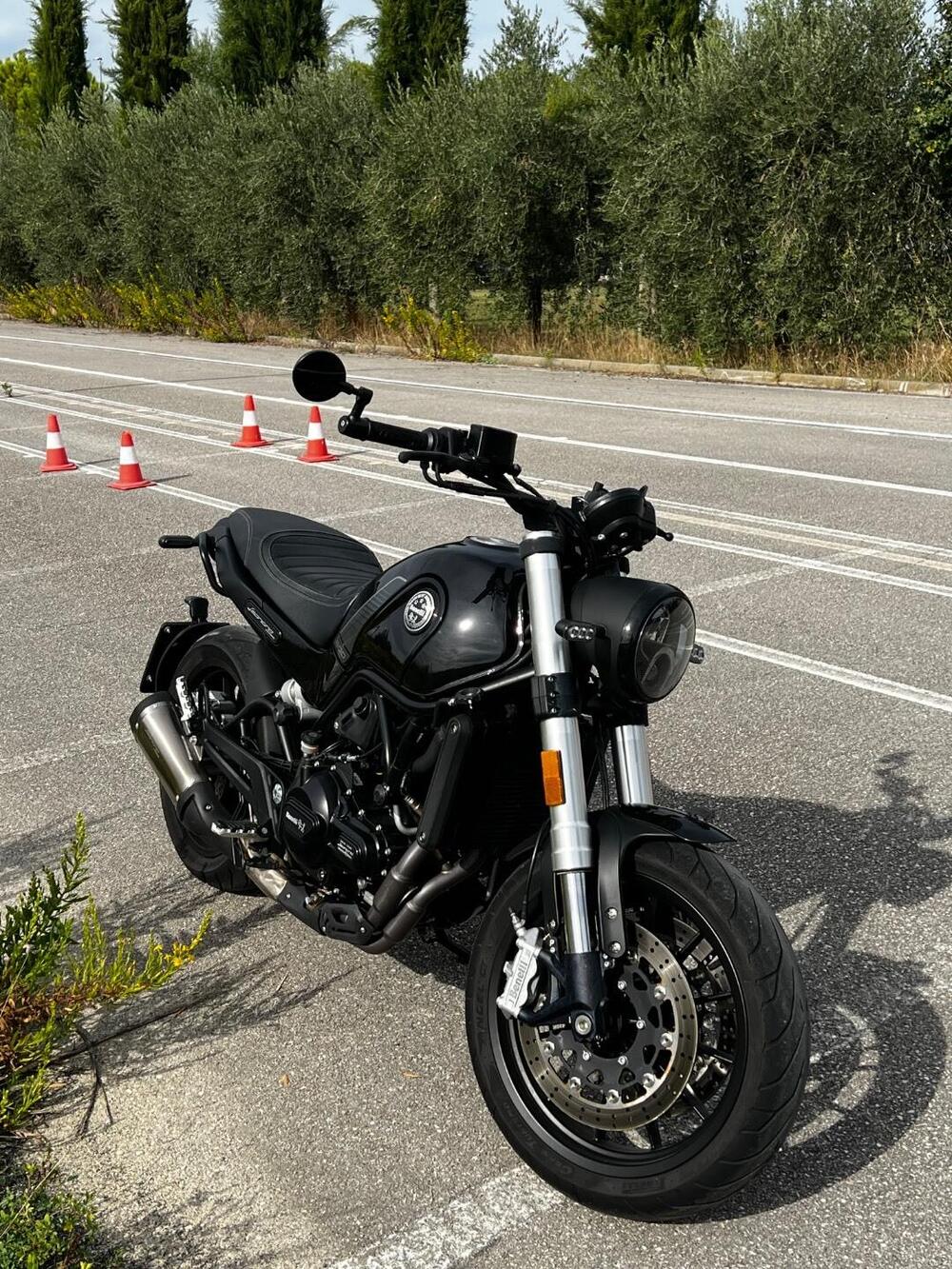 Benelli Leoncino 500 (2021 - 25) (7)