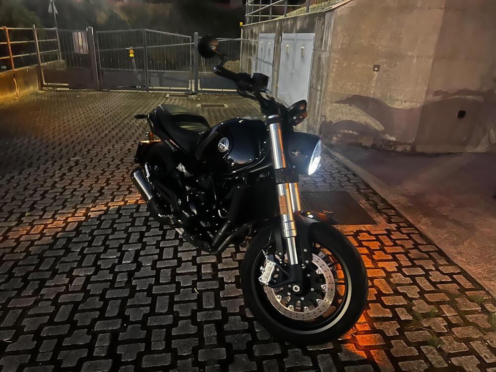 Benelli Leoncino 500 (2021 - 25) (8)