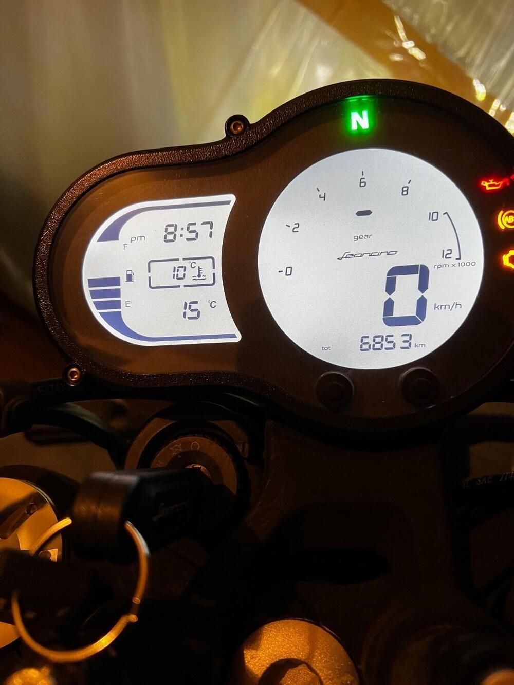 Benelli Leoncino 500 (2021 - 25) (9)