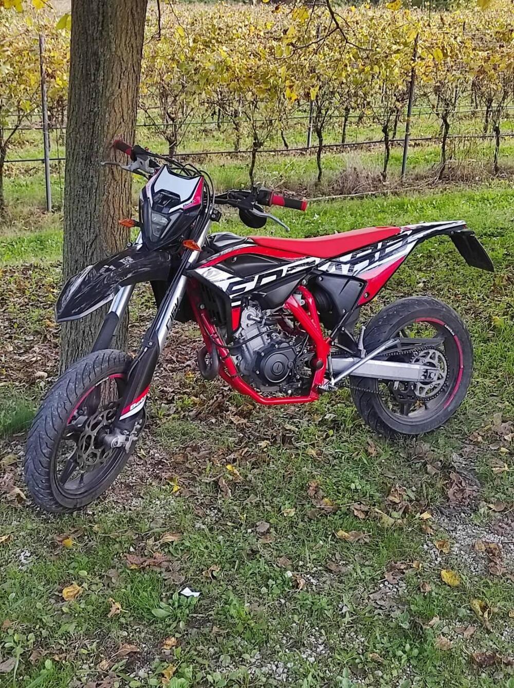 Betamotor RR 125 4T Motard LC (2021 - 23) (4)