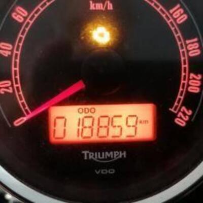 Triumph Bonneville T100 (2008 - 16) usata