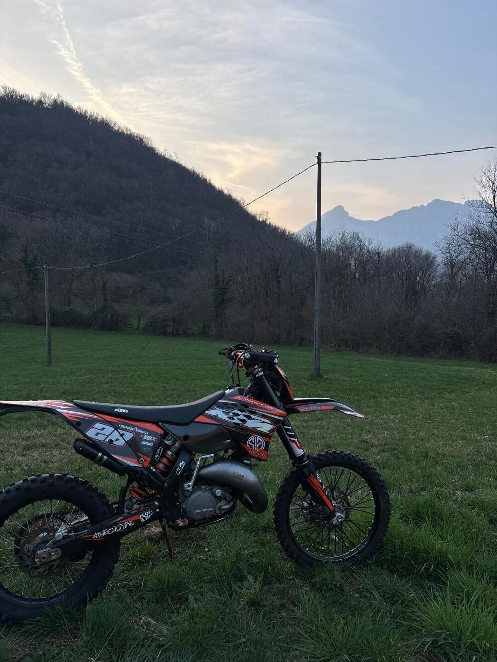 KTM 125 EXC Six Days (2010) (4)