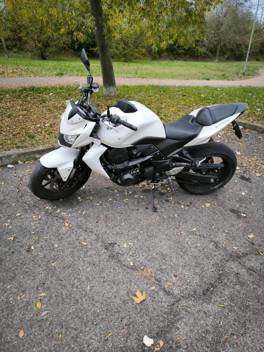 Kawasaki Z 750 (2007 - 14) (8)