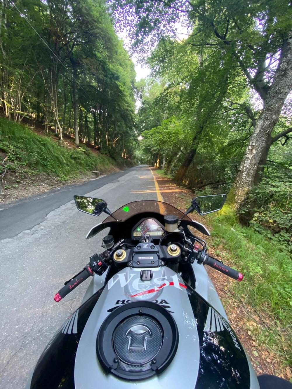 Honda CBR 1000 RR Fireblade (2006 - 07) (2)